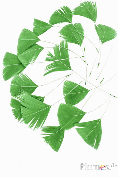 Blütenblätter aus Federn - 6-8 cm x 3-4 cm - olive